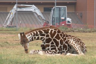 IMG_1075.png