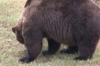 IMG_1146.png