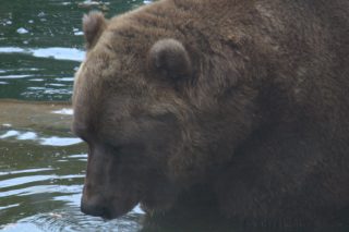 IMG_1179.png