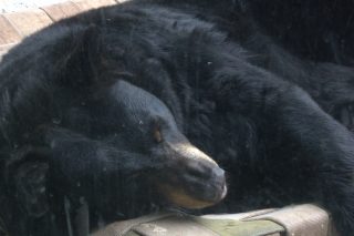IMG_1197.png