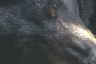 IMG_1199.png