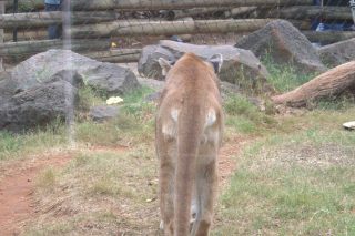 IMG_1267.png