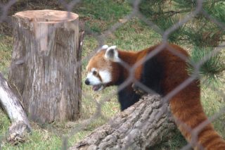 IMG_1317.png