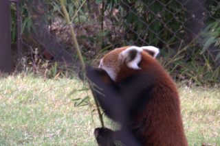 IMG_1326.png