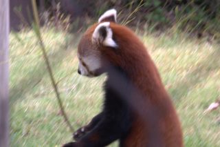IMG_1334.png