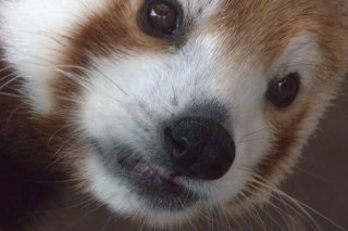 IMG_1341.png