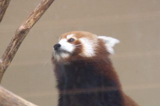 IMG_1348.png