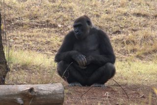 IMG_1355.png